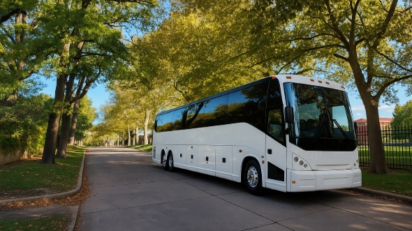aurora vacation bus rentals for family trips